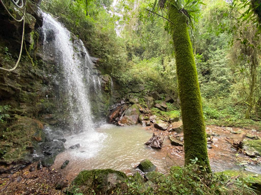 cachoeira em Nova Petrópolis - meu lar imobiliária